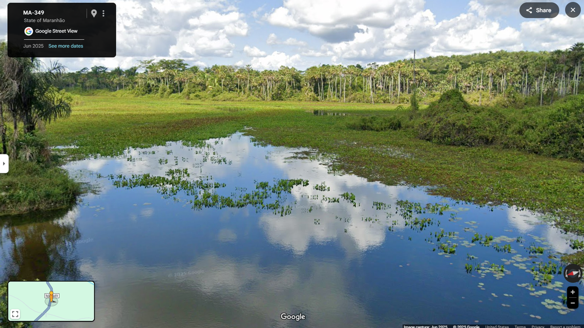 Scientists found a “cryptic” predator with “large” teeth in a river of Brazil and discovered a new species, a study said and photos show.