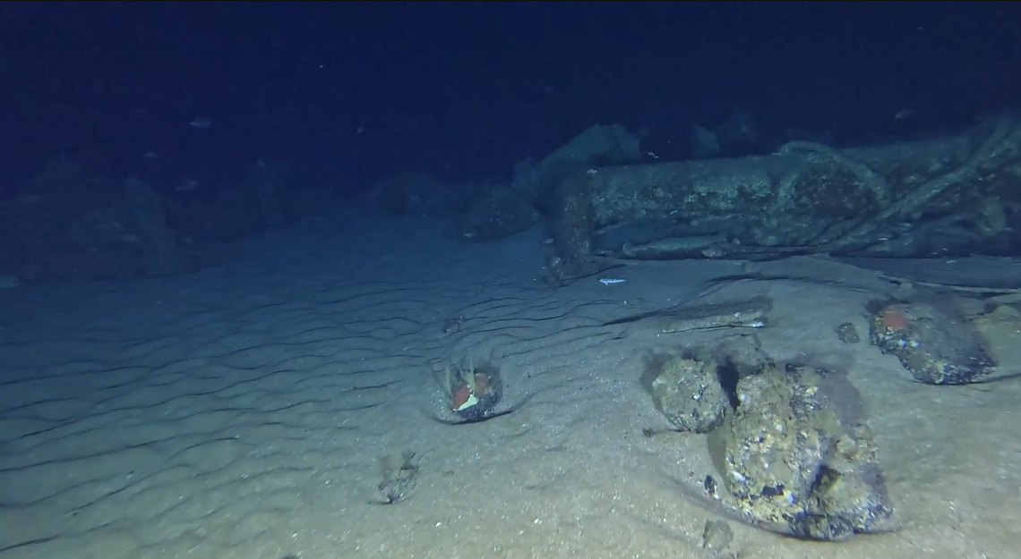 The SS Nemesis shipwreck as it comes into view.