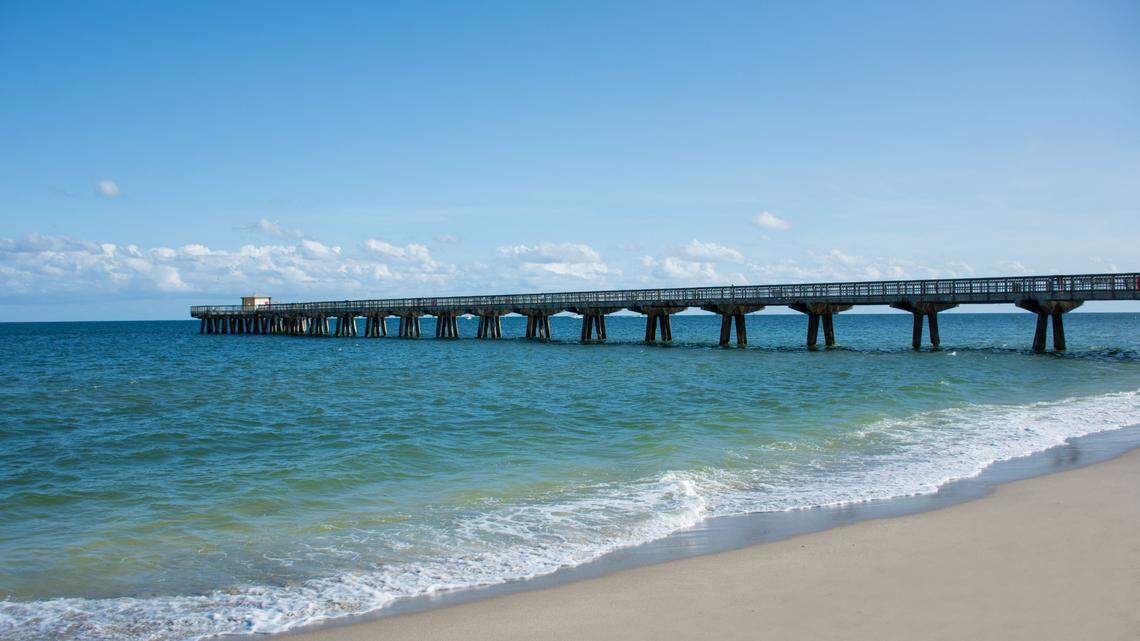Scientists found a “large,” “cryptic” sea creature with a “whip-like tail” in the Atlantic Ocean and discovered a new species, study said.