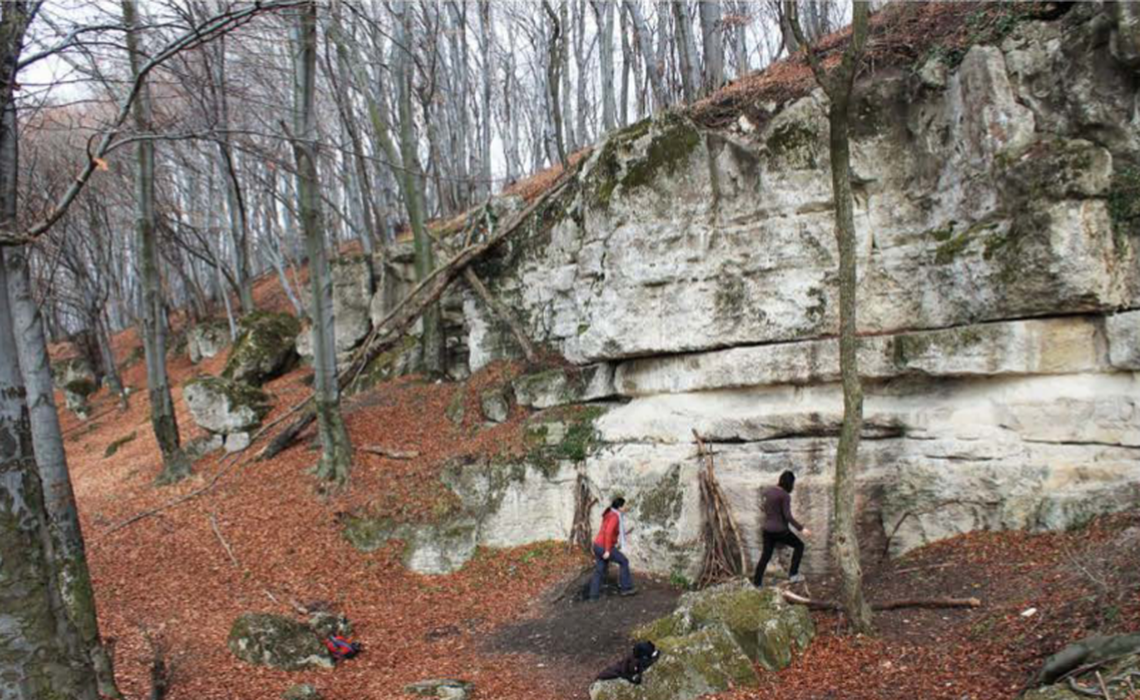 The tools were discovered hidden at the base of a tree near the Măgura Călanului limestone quarry, the study said.