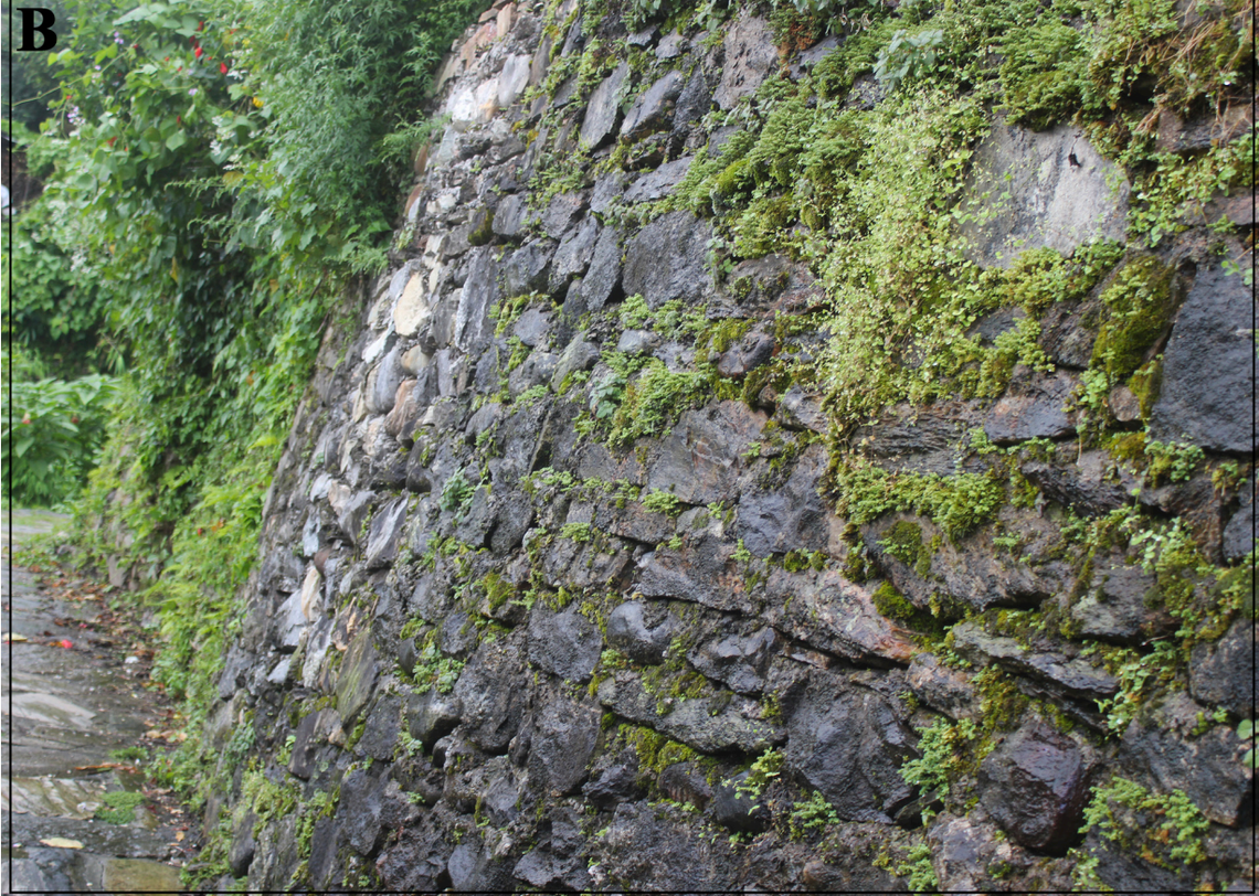 One of the habitats of Cyrtodactylus annapurnaensis, or the ACAP bent-toed gecko.