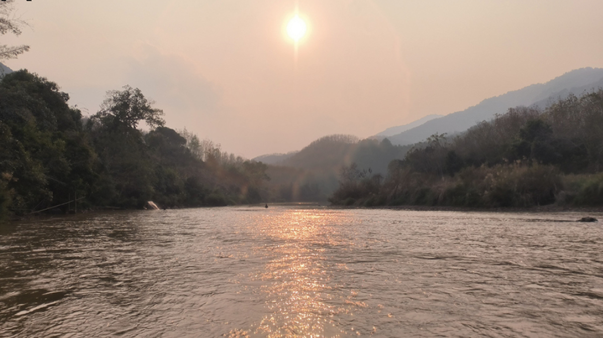The new freshwater mussel species was discovered in the Nanbanhe River in China’s Yunnan Province, according to a study.