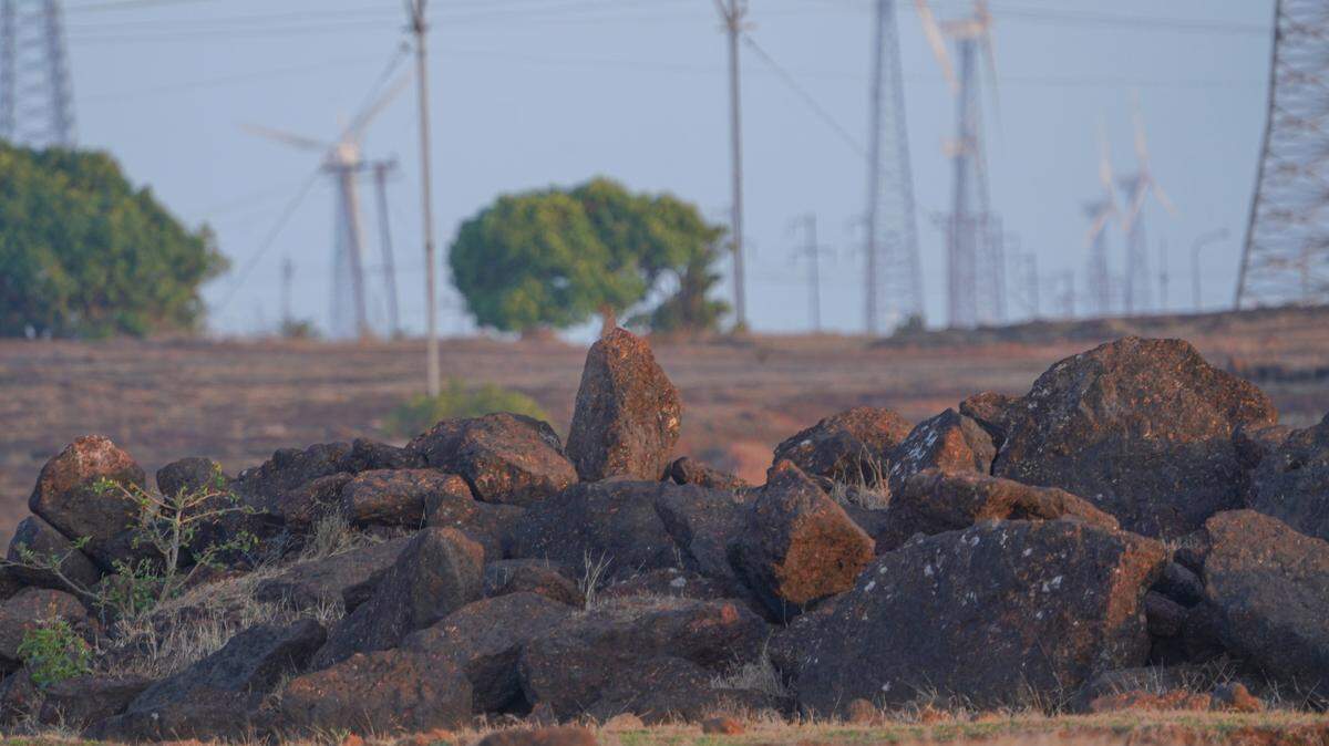 Scientists found a spiky creature with “large” brown eyes hunting near a windmill farm and discovered a new species, a study said.