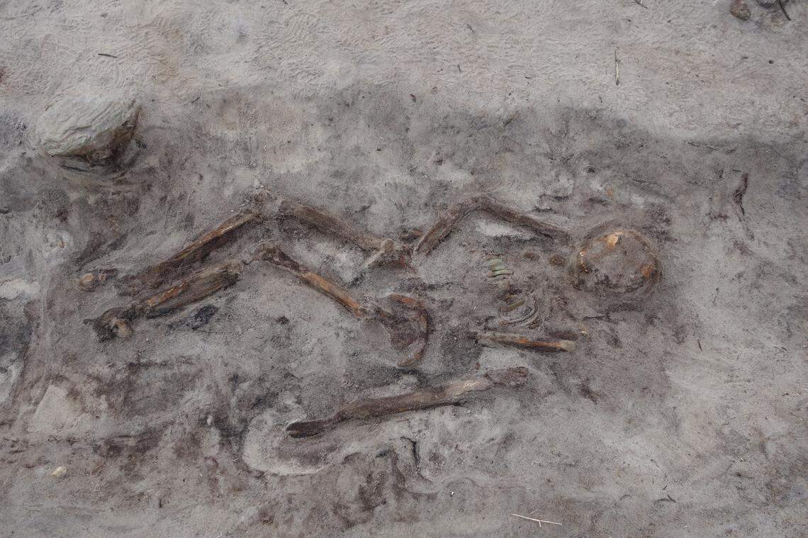 The skeleton of an ancient woman found in the Viking-era boat grave.