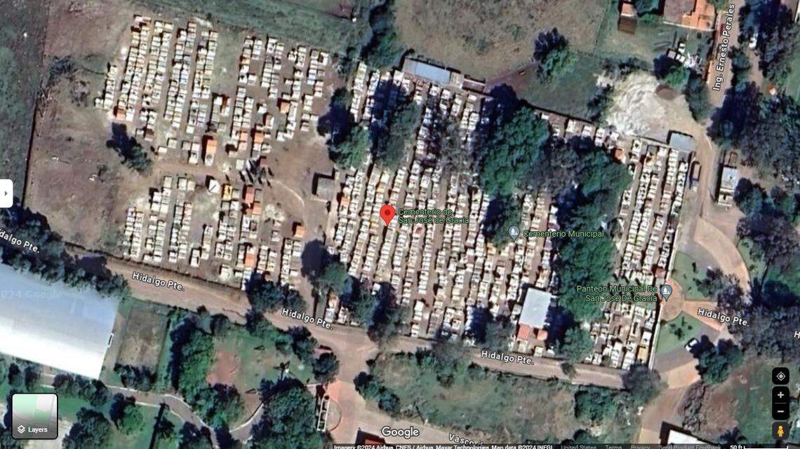 Scientists found a stinging creature in the rock wall of graveyard in Michoacán and discovered a new species, a study said.