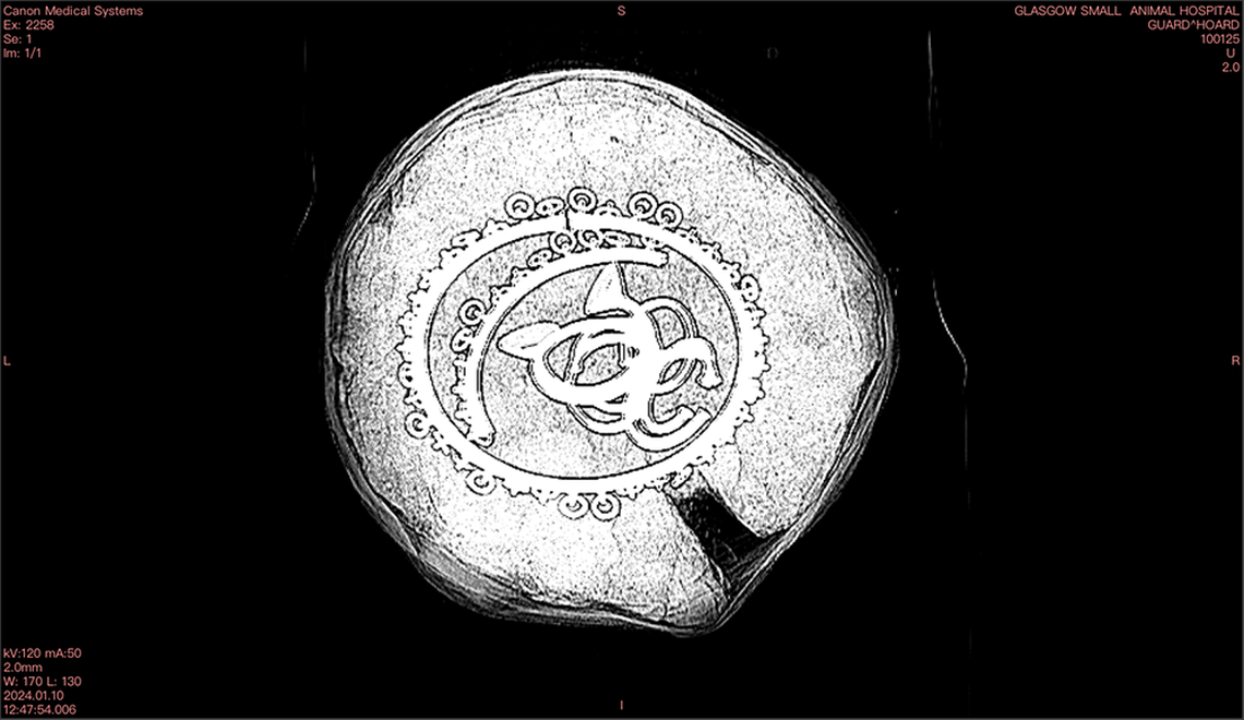 An X-ray scan of the 3,000-year-old artifacts found in Rosemarkie.