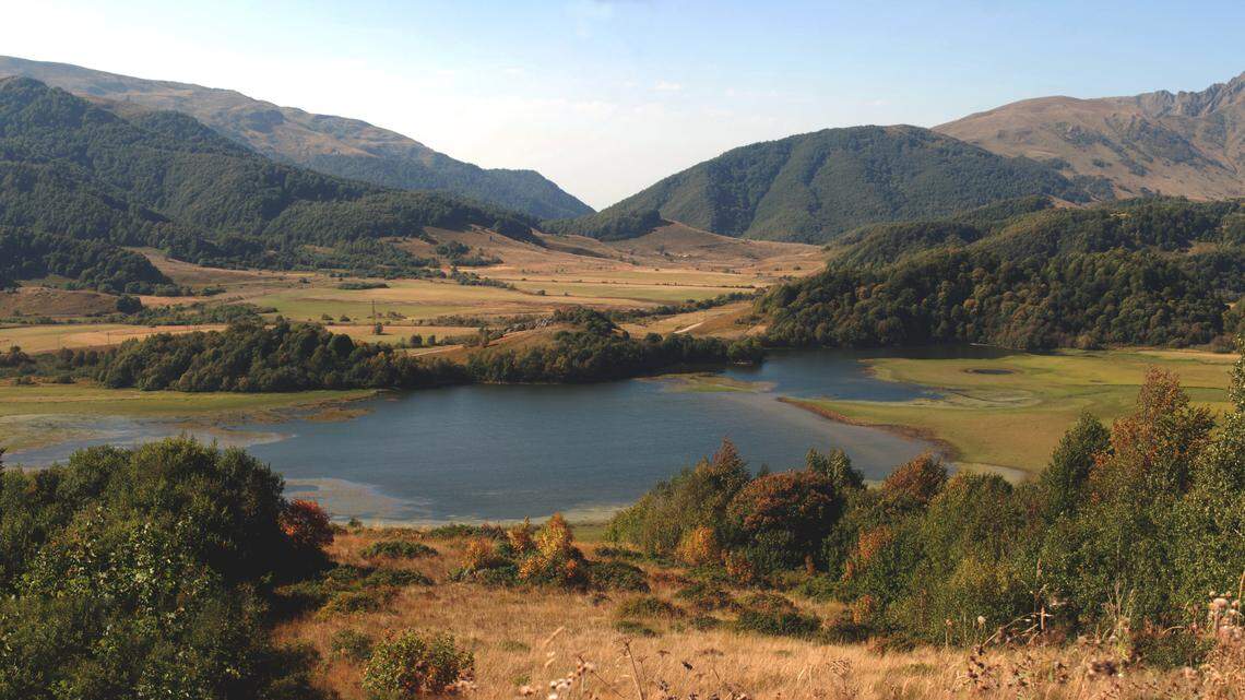 Scientists in the disputed territory of South Ossetia found a scaly animal with rows of extra “eyes” and discovered a new species, a study said.