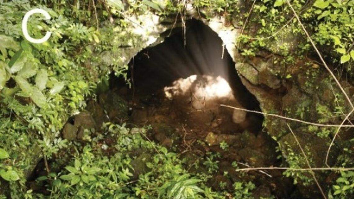 Scientists explored several lava tubes in Vietnam and found some “bent-toed” creatures in the caves in a first-of-its-kind sighting, photos show.