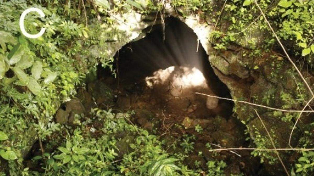 Scientists explored several lava tubes in Vietnam and found some “bent-toed” creatures in the caves in a first-of-its-kind sighting, photos show.