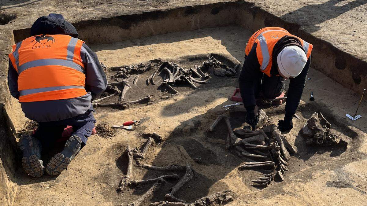 Archaeologists near Magdeburg found burial mounds, a chariot grave and a parade route at a “complex” ancient cemetery dating back 6,000 years.