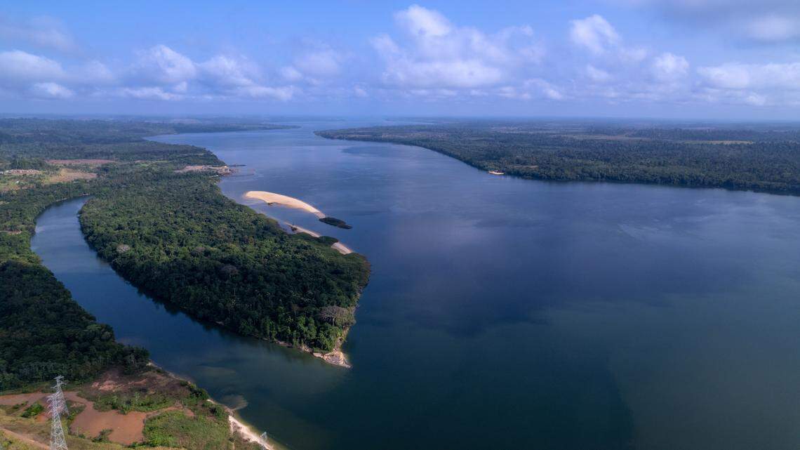 Scientists caught an “armored” river creature with a maze-like pattern, a popular aquarium pet, in Brazil and discovered a new species.