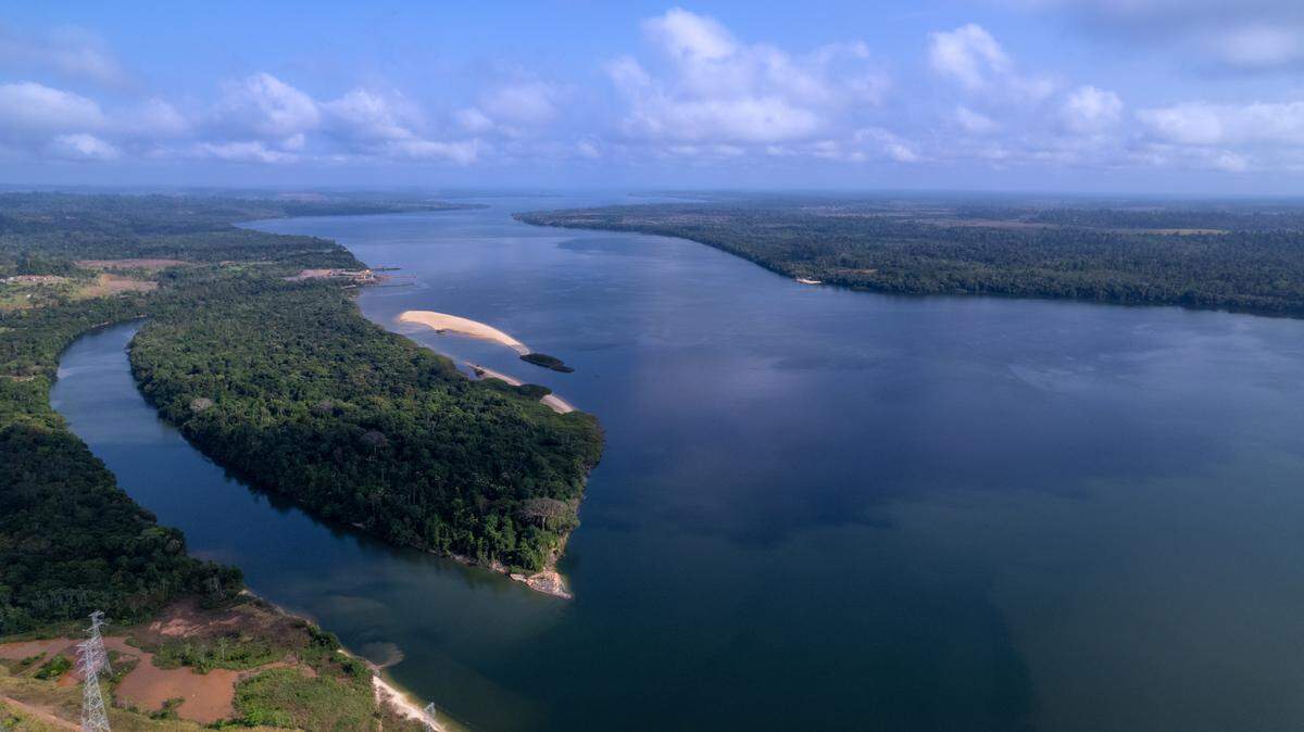 Scientists caught an “armored” river creature with a maze-like pattern, a popular aquarium pet, in Brazil and discovered a new species.