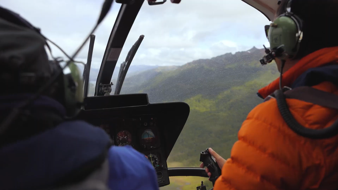 Conservationists used a helicopter to survey the mountains of Chile for huemul deer, an endangered mammal species, and discovered a new population.