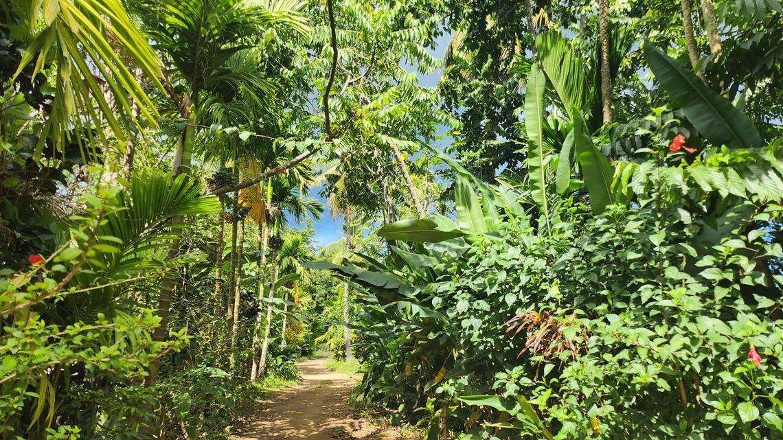 Scientists found a “cryptic” creature sleeping on a twig at Ankarafantsika National Park and discovered a new species, a study said.