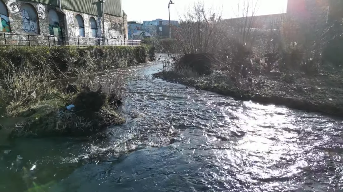 Conservationists found a baby Atlantic salmon in the River Don, United Kingdom, for the “first time in over 200 years,” a photo shows.