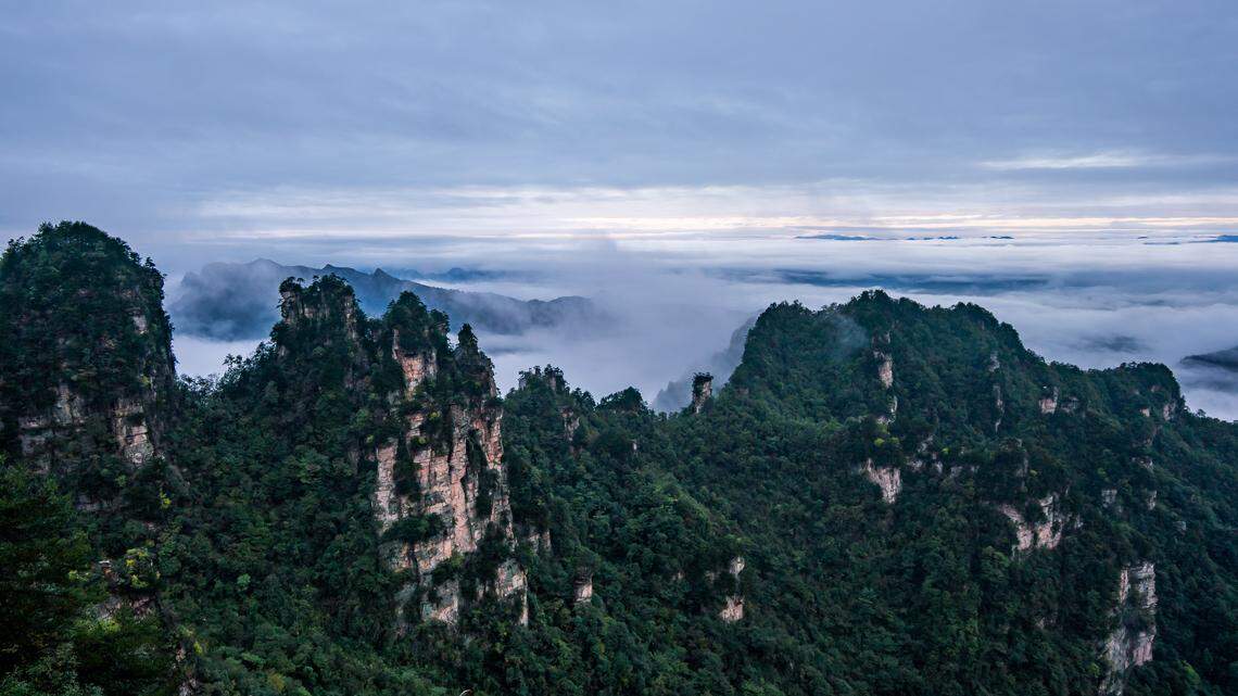 Scientists found a “secretive” pregnant creature on a mountain in China and discovered a new species, a study said.