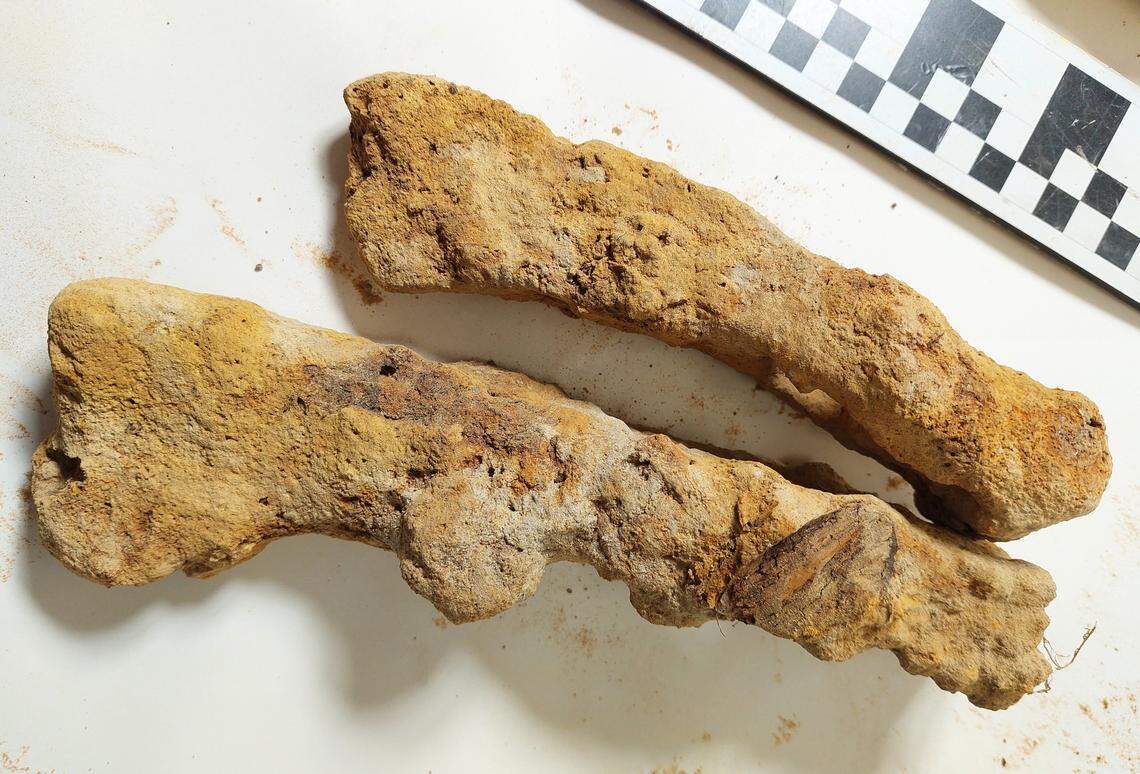 Some of the rusty Roman-era artifacts found in Hrubieszów.