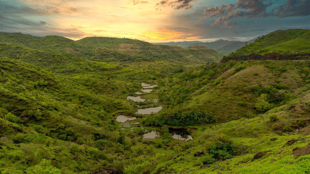 Scientists found a scaly animal eating frogs in India and discovered a new species, a study said. Photo shows a representative area of Maharashtra.