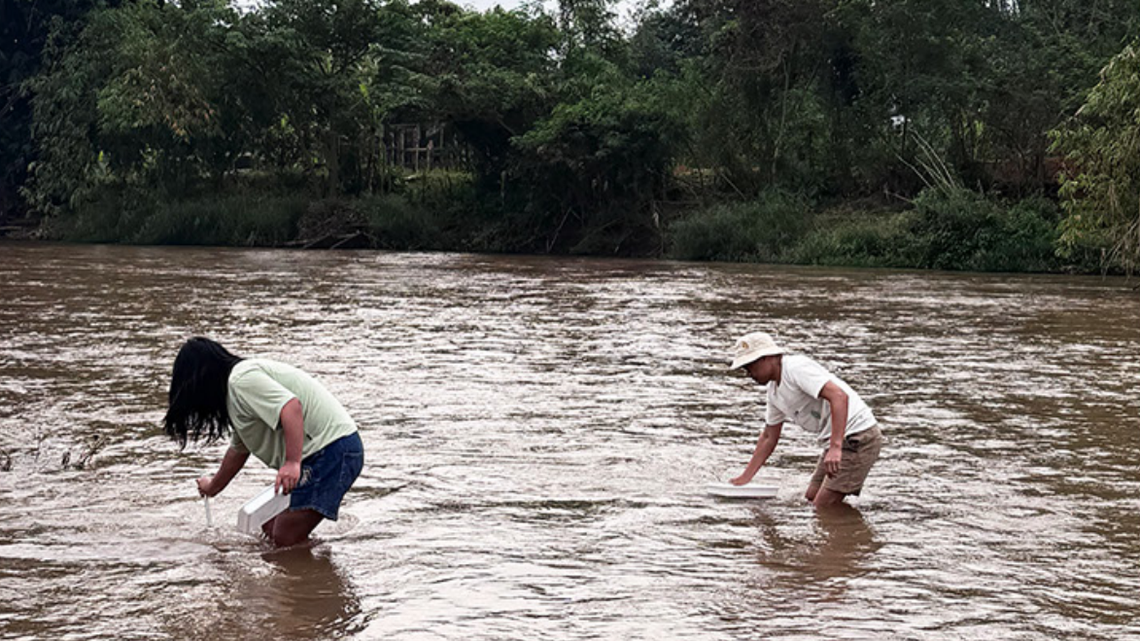 Scientists scooped sand from a riverbed in Thailand and found two nymphs of rare mayfly species not seen in 22 years, a study said.