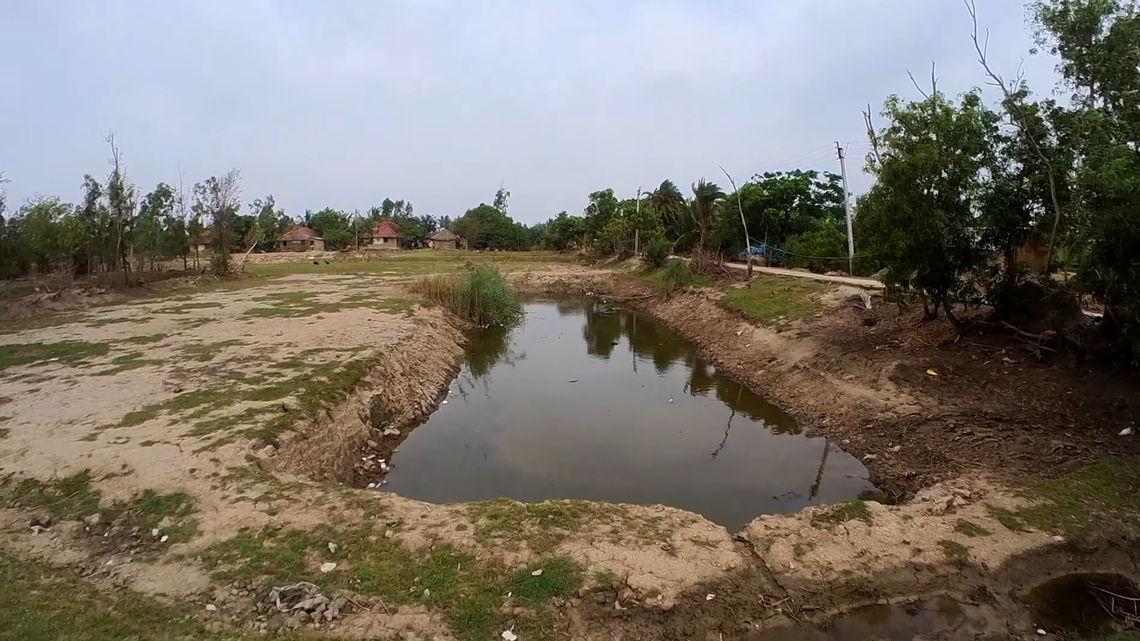 Scientists found a “porcelain”-like creature with “large” claws on island in India and discovered a new species, a study said.