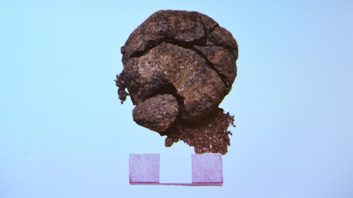 Archaeologists found a spongy substance near an oven in Turkey and discovered 8,600-year-old bread, the “world’s oldest,” university experts said.