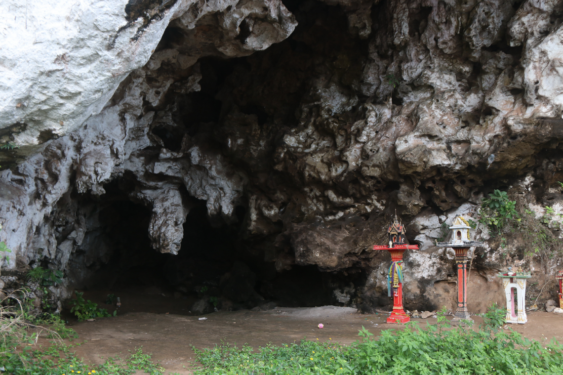 Scientists found a 2-foot-long creature with “blade-shaped” teeth in Thailand and discovered a new species, a study said.