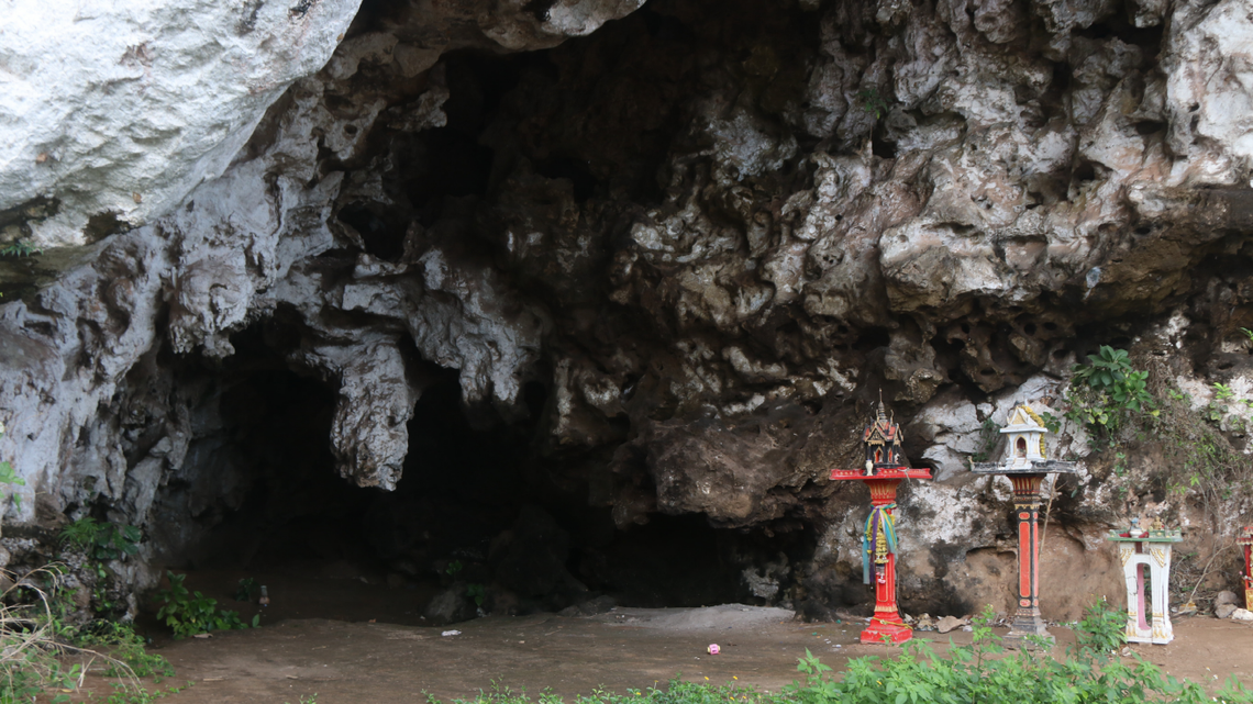 Scientists found a 2-foot-long creature with “blade-shaped” teeth in Thailand and discovered a new species, a study said.