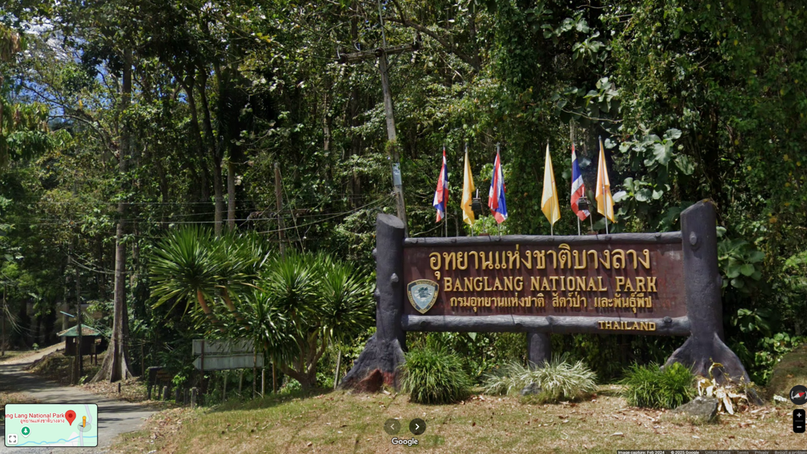 The trail cameras captured other elusive species including tapirs and wild elephants, according to Thailand wildlife officials.