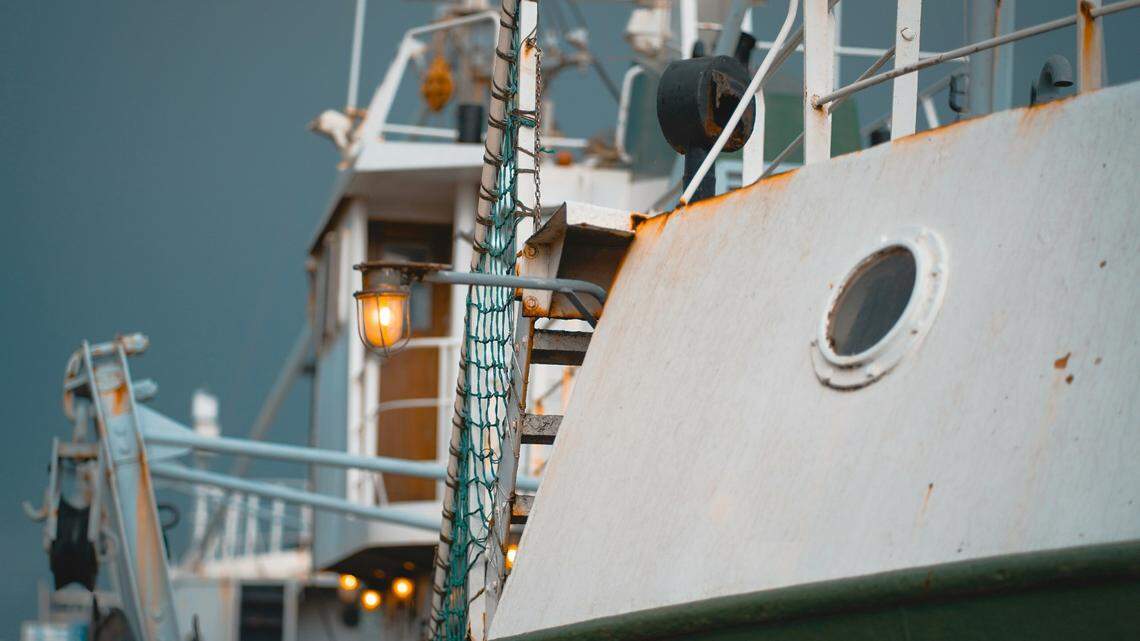 Commercial trawlers pulled up four Japanese lanternfish, marking its first record in Taiwan and the southernmost record of the species, researchers said.