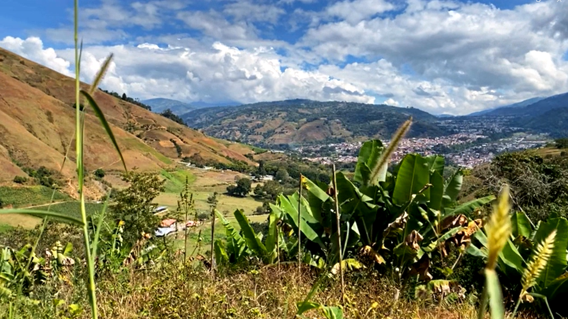 Scientists found an 18-inch-long creature, a “sleepyhead,” near a road in Venezuela and discovered a new species, a study said.
