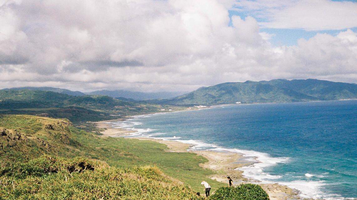 Scientists found a “cryptic,” eight-eyed animal in a partially underwater nest and discovered a new species, a study said.