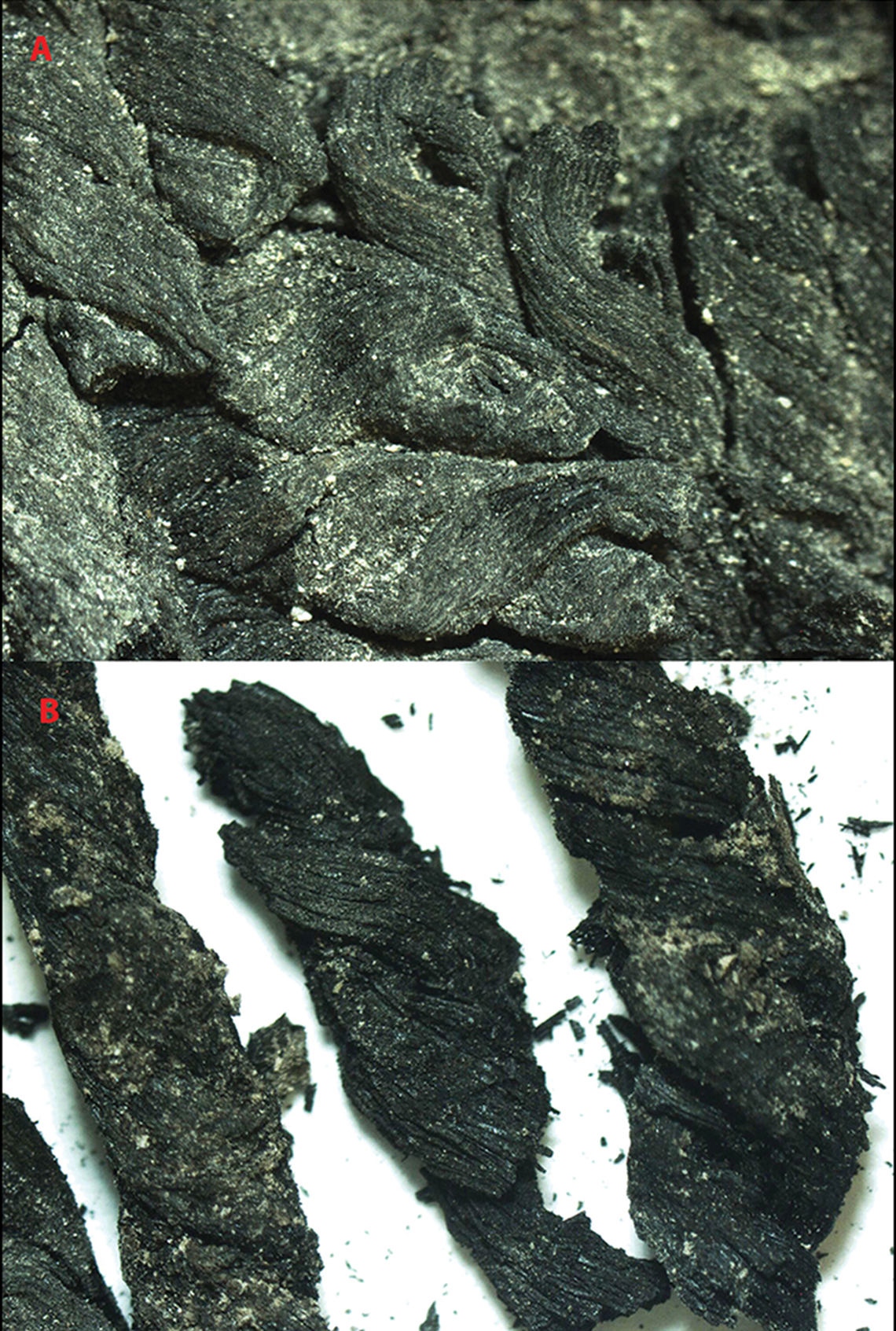 The 3,700-year-old blue knitted fabric, known as Tx1, found at Beycesultan.