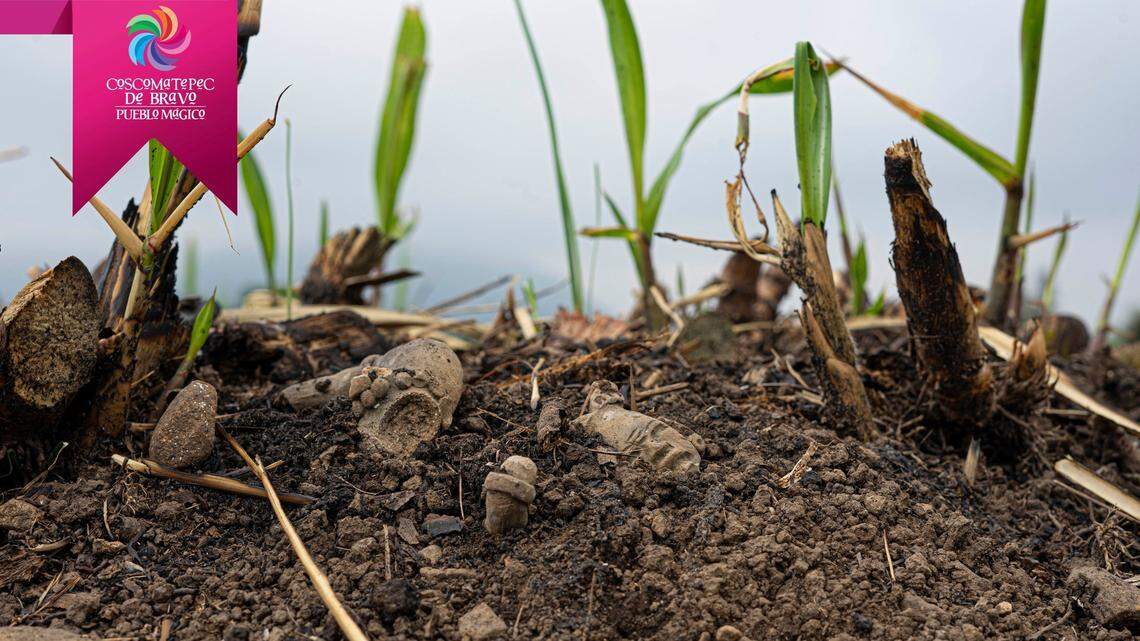 A field worker in Mexico found a carving from a 2,000-year-old civilization, a stone knife and two other artifacts, city officials said.