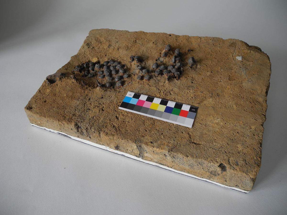 The ancient Roman shoe fragments found at a playground in Haltern am See.