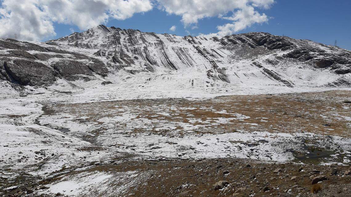 Scientists found “large” brown butterflies living in the Andes mountains of Peru and discovered a new species, a study said.
