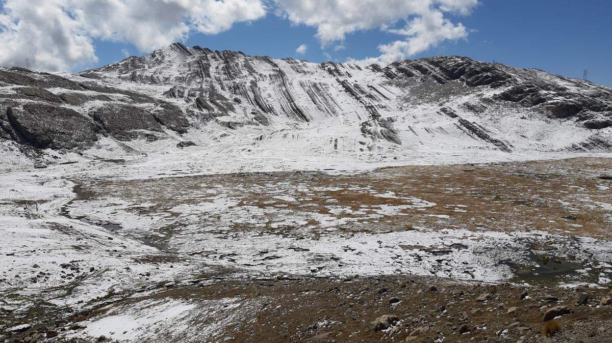 Scientists found “large” brown butterflies living in the Andes mountains of Peru and discovered a new species, a study said.