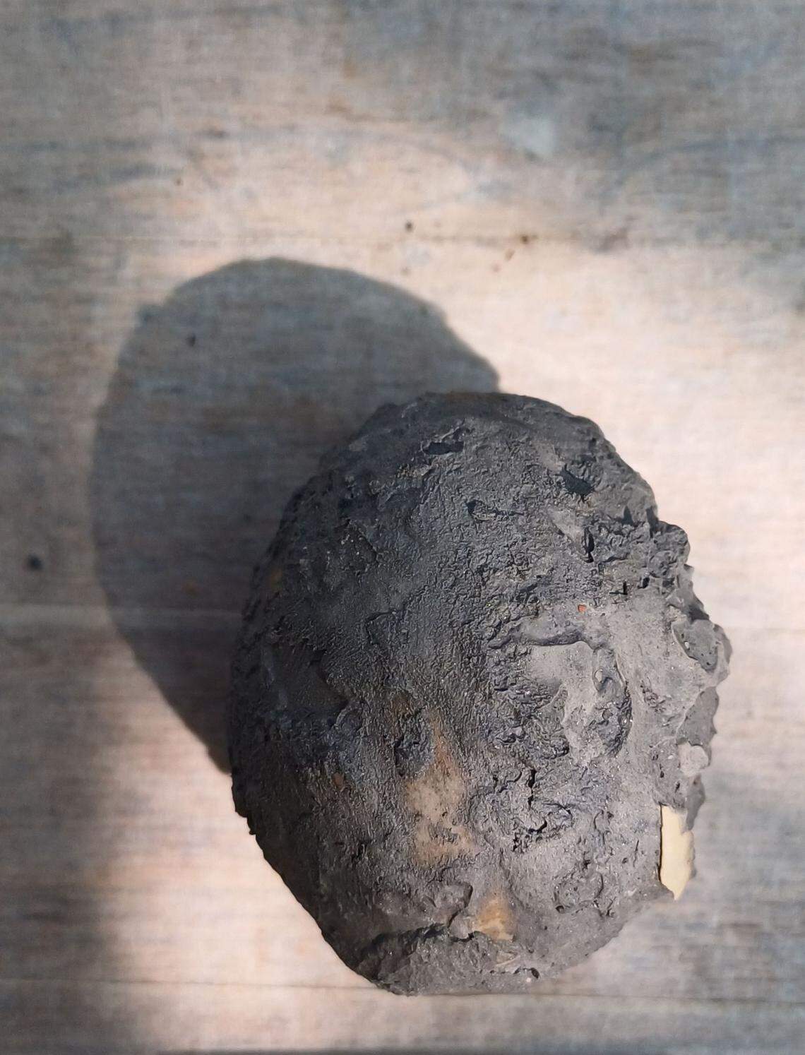 An ancient egg found intact in the hot spring.