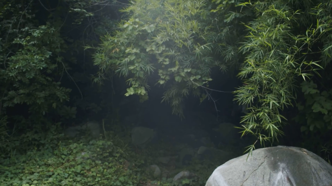 Scientists found a pregnant creature with an orange tail on a mountain in Vietnam and discovered a new species, a study said.