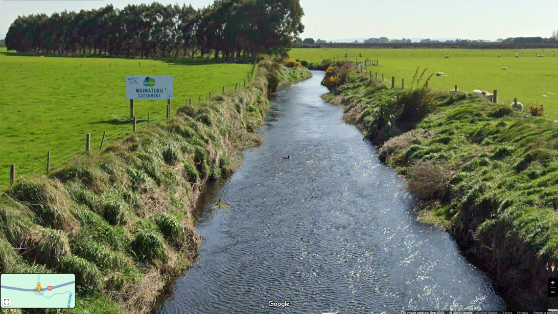 The Gollums were found in the Waimatuku Stream catchment, New Zealand wildlife officials said.