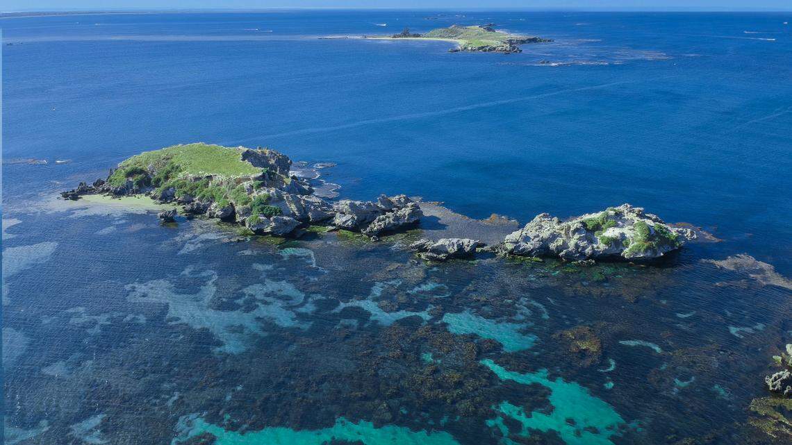 Two divers dodged death twice off the coast of Perth, Australia, when an ocean predator kept them trapped on the seafloor.