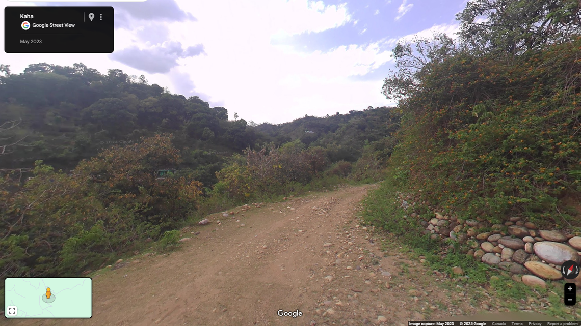 Scientists found a scarred creature with “robust” claws climbing rocks in the Himalayas and discovered a new species, a study said.