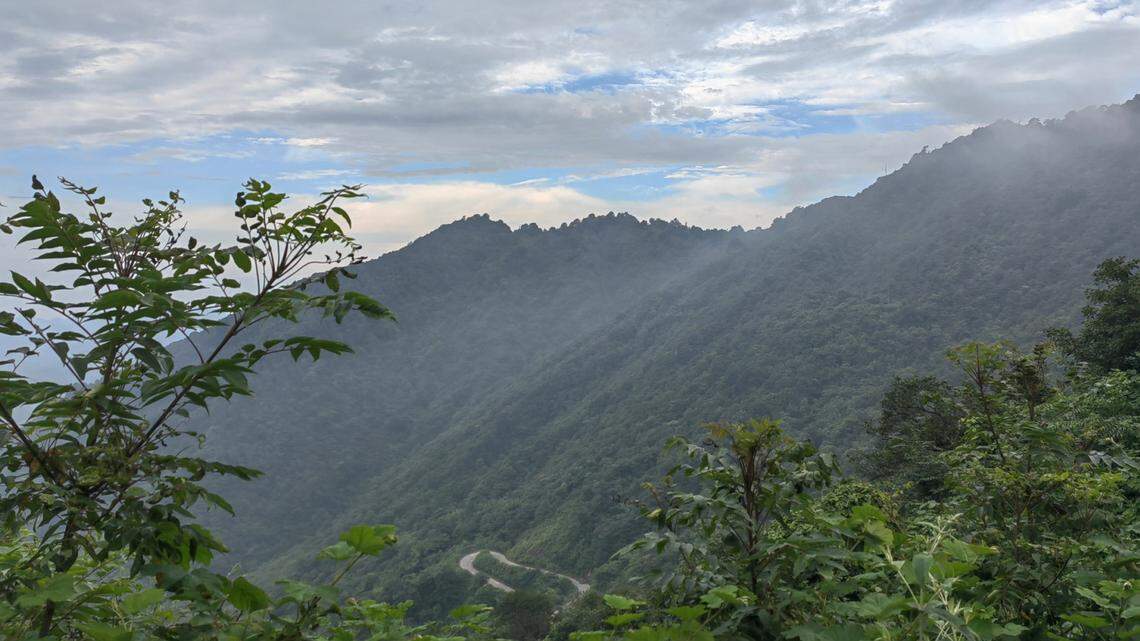 Scientists found a creature with “burly” fingers in the mountains of a nature reserve in China and discovered a new species, a study said.