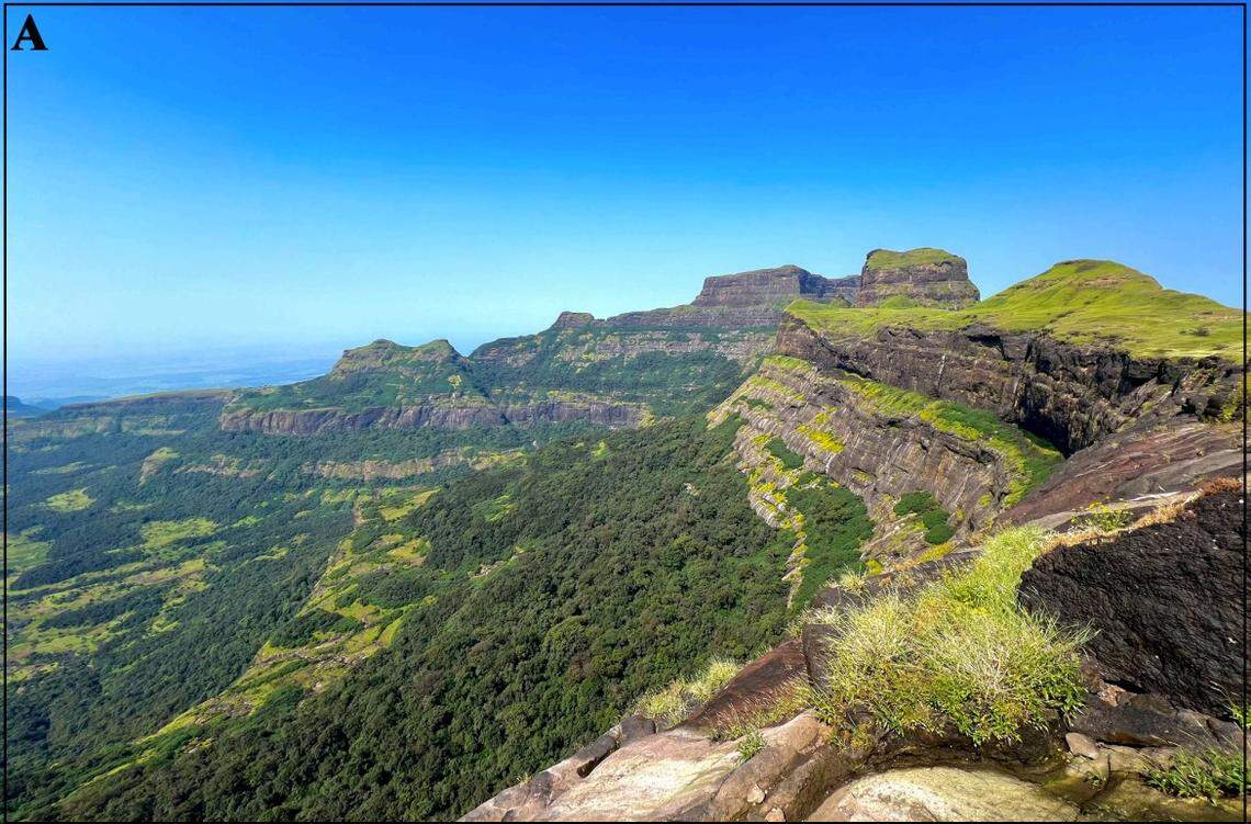 The mountains where the new species was found.