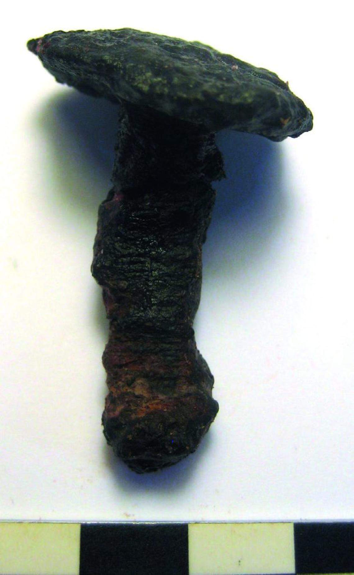 A coffin nail found in the Viking-era grave in Linköping.