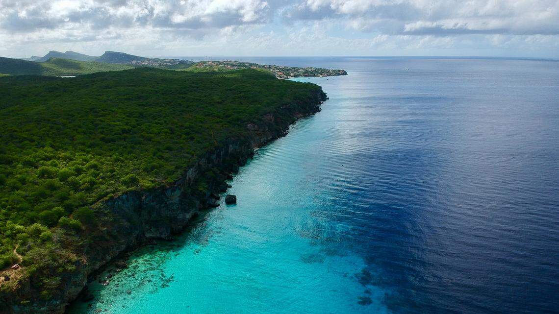 Scientists found a pregnant sea animal living in a host organisms near the Dutch Caribbean and discovered a new species, a study said. Photo shows a representative area of Curaçao.