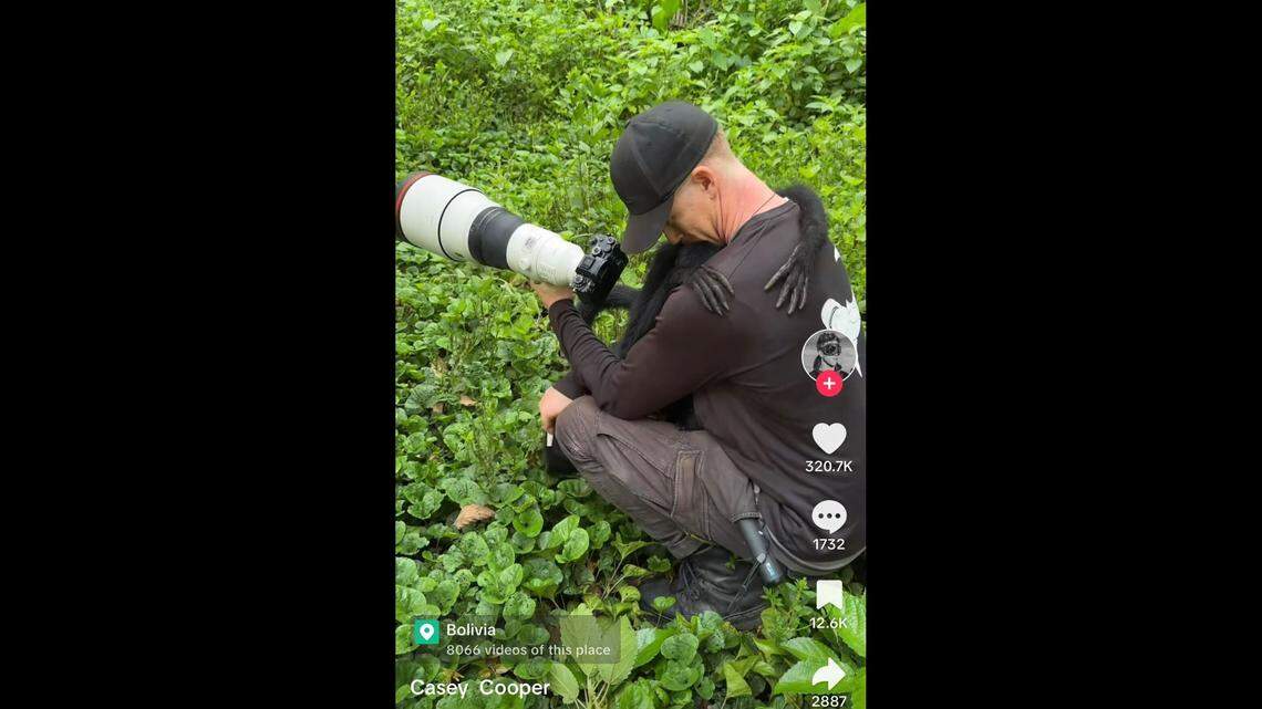 A spider monkey once part of the illegal wildlife trade and living in a cage is now free in Bolivia.
