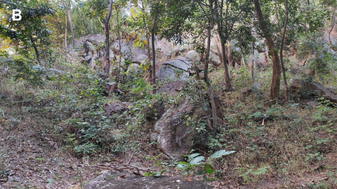 Scientists found a “large”-eyed creature with “slender” fingers near a temple in India and discovered a new species, study said.