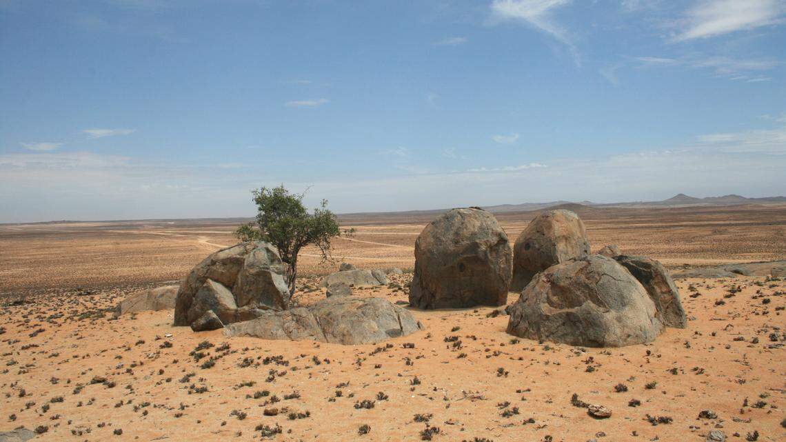 Scientists found a “long”-tailed animal digging burrows in Namibe Province and discovered a new species, a study said.