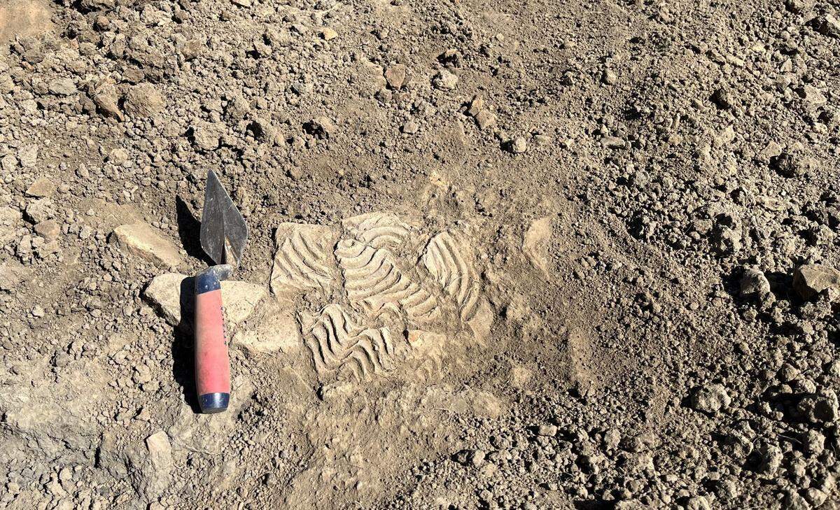 A brick fragment found at the ancient Roman settlement in Smallhythe.