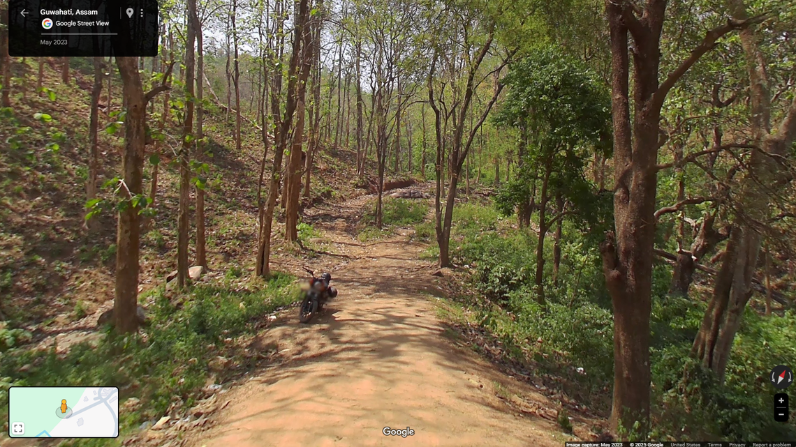 Scientists found “stocky” creatures with “fiery orange” eyes mating in a forest of India and discovered a new species, a study said.